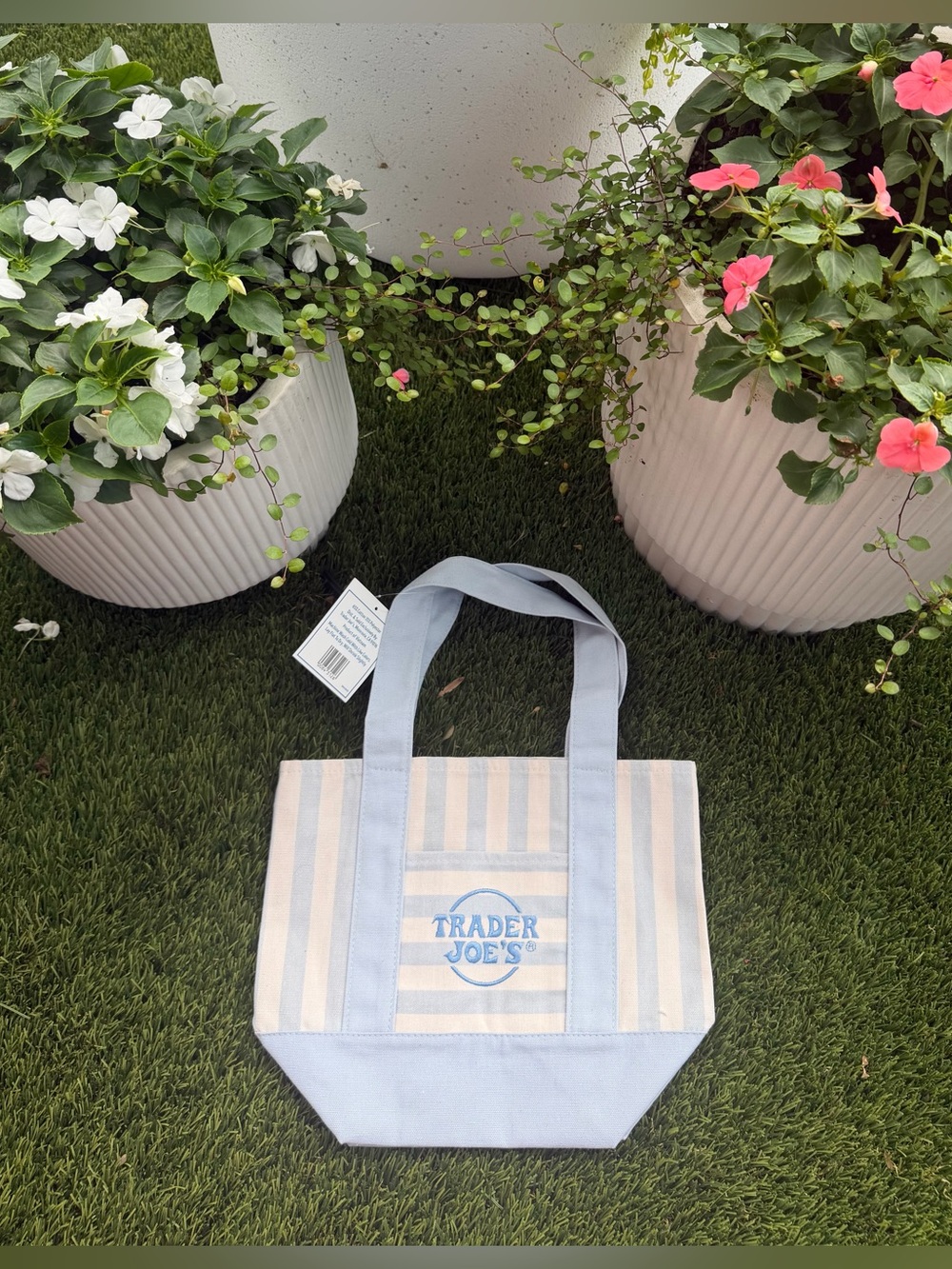 💙 Trader Joe’s Summer 2026 Striped Mini Canvas Tote – Sky Blue | NWT |Viral